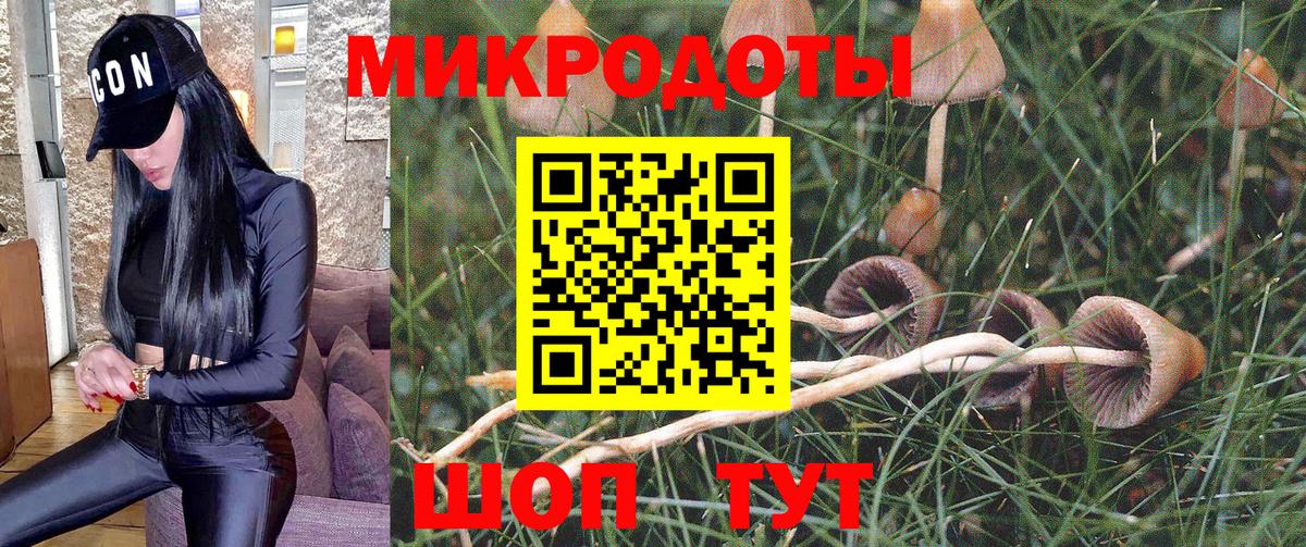 Улан-Удэ  Псилоцибиновые грибы Magic Shrooms  Вход с VPN 