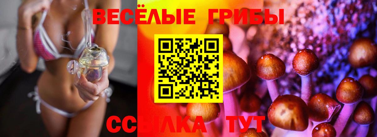 Псилоцибиновые грибы GOLDEN TEACHER Улан-Удэ